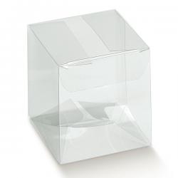 Scatola pvc trasparente 2